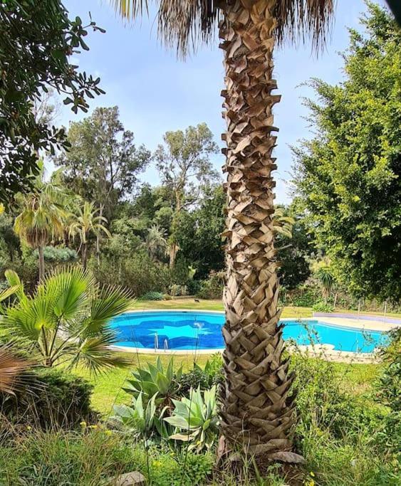 Soleado Apartamento Golf Y A 900 M De La Playa Benalmádena Buitenkant foto